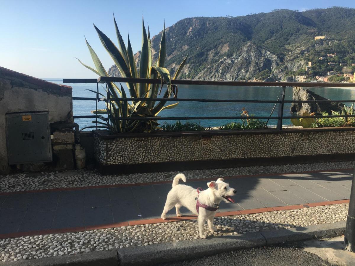 Le Cinque Vele ***** Cinque Terre Apartment Monterosso al Mare Bagian luar foto