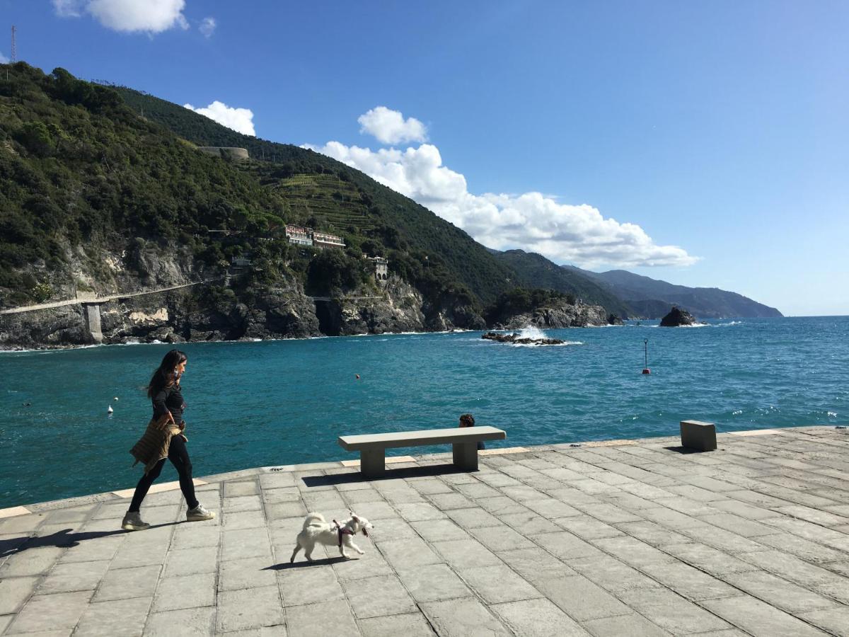 Le Cinque Vele ***** Cinque Terre Apartment Monterosso al Mare Bagian luar foto